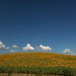 Le Palazze Bed and breakfast 4*