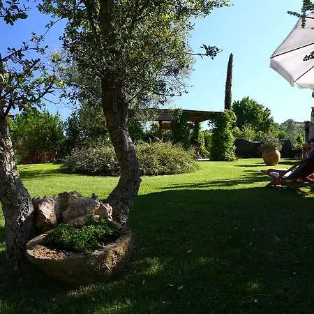 Bed & Breakfast Le Palazze