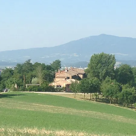 Le Palazze 키우시