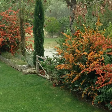 Bed & Breakfast Le Palazze