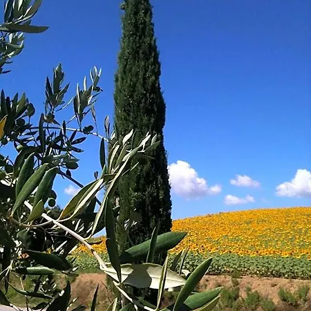 לינה וארוחת בוקר Le Palazze קיוזי