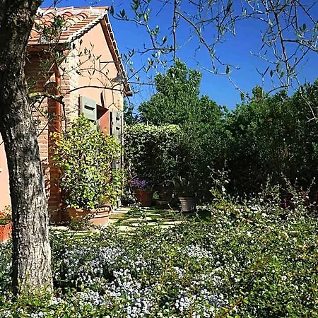 Le Palazze קיוזי