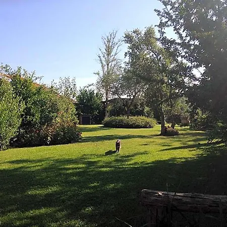 לינה וארוחת בוקר Le Palazze קיוזי