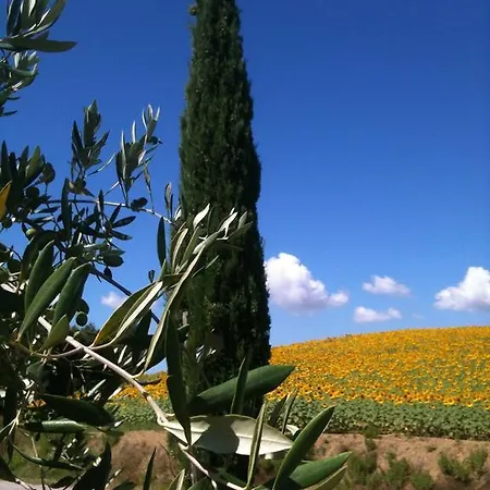 Bed & Breakfast Le Palazze