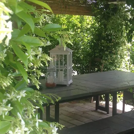 B&B Le Palazze 키우시