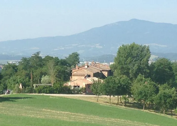 Le Palazze 키우시