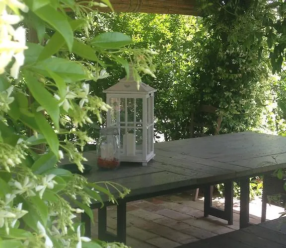 Bed and breakfast Le Palazze Chiusi